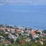 Micic *