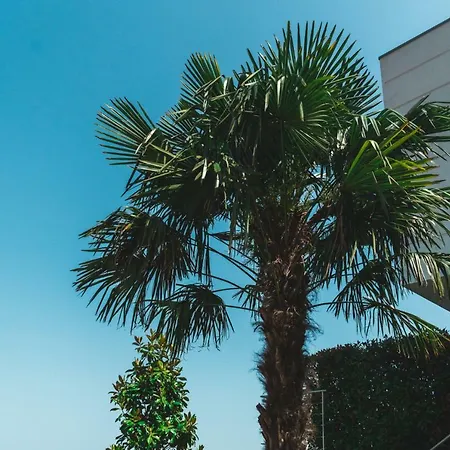 شقة Micic لوفغان