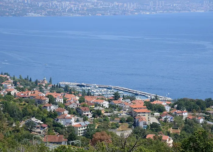 Micic *