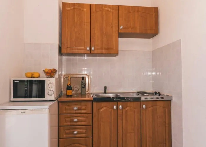 Apartmán Micic *